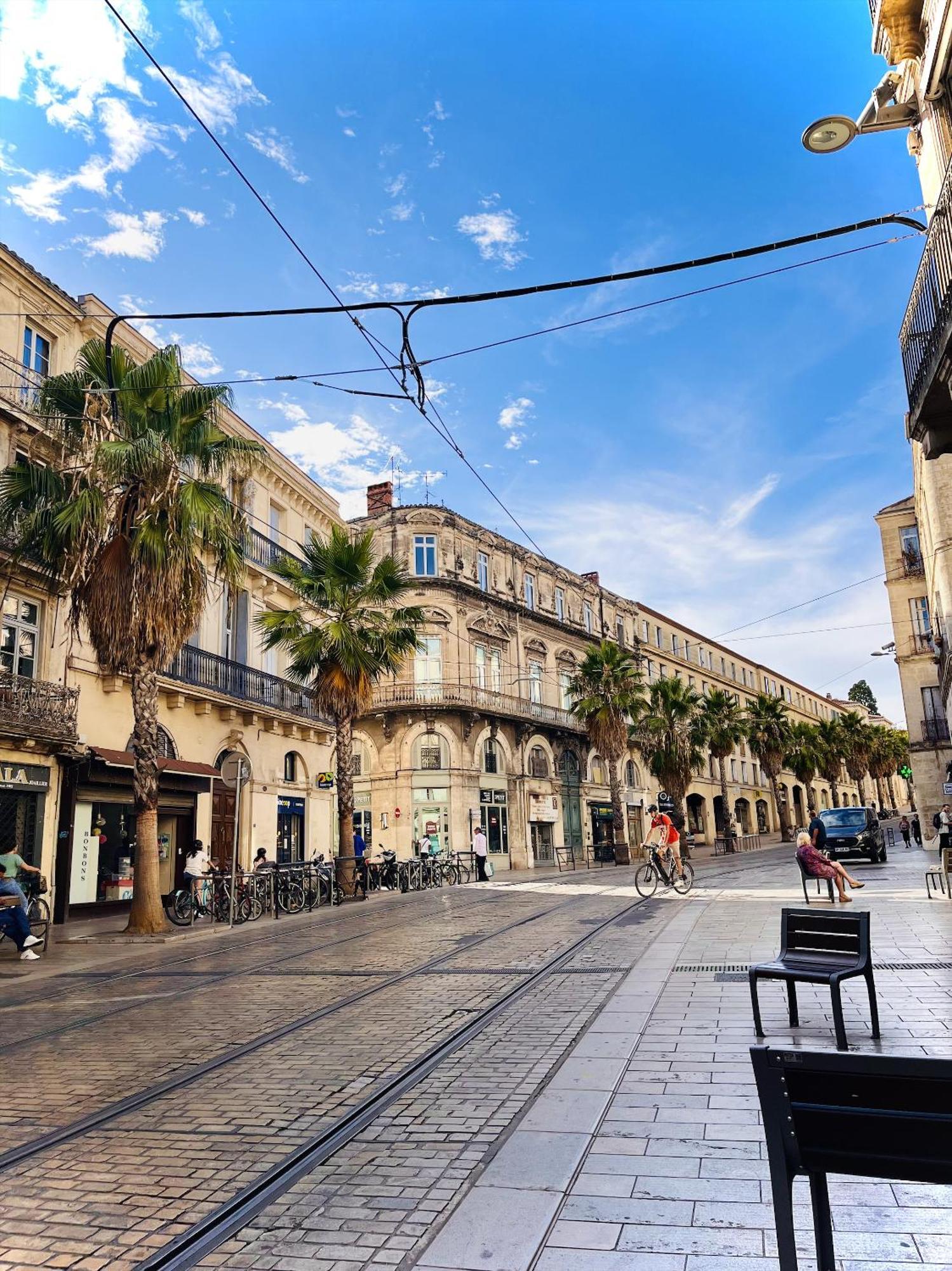 Cosy Suite - Elegance & Calme En Hyper-Centre Montpellier Luaran gambar